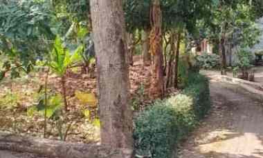 Tanah Ciamik Posisi Hook Shm Ready Sekitar Unnes