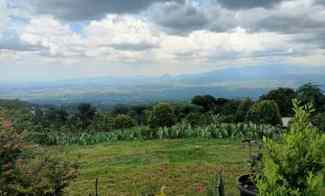 tanah cijeruk bogor gunug salak best view