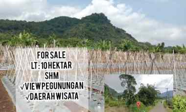 Tanah Dijual di Subang