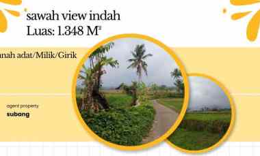 Tanah Dijual di Subang
