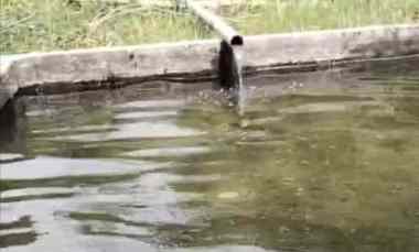 Tanah Dijual di Subang