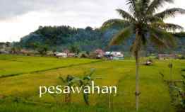 Tanah dan Sumber Mata Air Panas, Purwakarta Jawa Barat