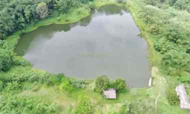 Tanah Dijual di Subang