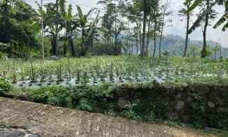 Tanah Dijual di Kemuning, Ngargoyoso, Karanganyar, Solo, Jawa Tengah