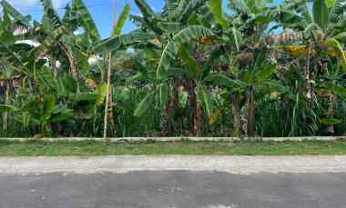 Tanah Dijual di Mojogedang, Karanganyar, Solo, Jawa Tengah