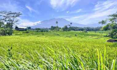 Tanah Datar View Gunung Lawu Karangpandan, Karanganyar