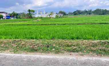 tanah datar view gunung lawu kerjo karanganyar