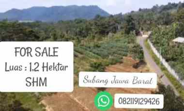 Tanah Dijual di Subang