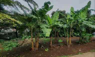 Tanah dekat Pusat Kota Depok dengan Harga Terjangkau