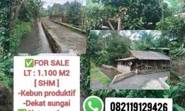 Tanah dekat Sungai, Ciater Subang Jawa Barat