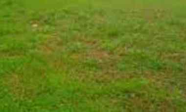 Tanah Desa Bakalan Wringinpitu Balongbendo, Sidoarjo