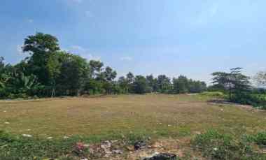 Tanah Desa Karangmulya Telukjambe Barat Karawang Barat