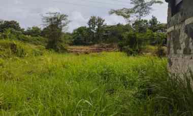 Tanah di Cibuntu Ciampea jl H. Jaili