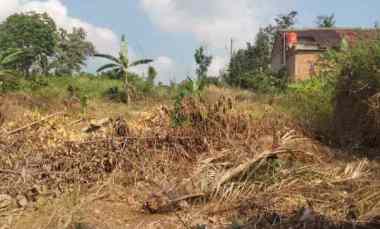 Tanah Dijual di Jalan Purnawirawan, Gunung Terang