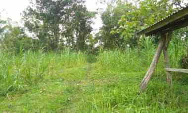 Tanah di Karang Anyar, Jati Agung Luas 6200m SHM