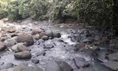 tanah di kelecung view sungai 40 menit ke canggu bali