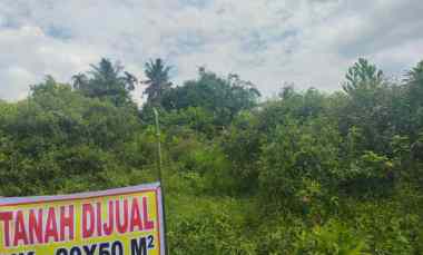 tanah dijual dengan shm 1000 meter