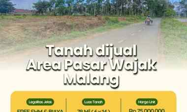 tanah dijual di malang wajak terbaru 2024