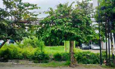 Tanah Dijual di Jambangan Kebon Agung Surabaya Selatan