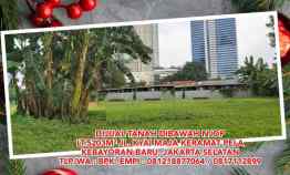 Dijual Tanah 5203m jl. Kyai Maja Keramat Pela, Kebayoran Baru, Jaksel