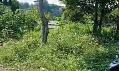 Tanah Gedawang Banyumanik Semarang