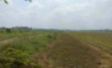 Tanah Dijual di Raya Kabupaten Jetis Ketapang