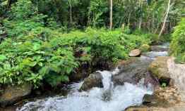 Tanah Istimewa dekat Sungai Kemuning Karanganyar