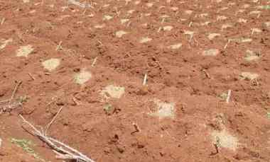 Tanah Istimewa Pasir NANJUNG,CIMANGGUNG KAB.SUMEDANG