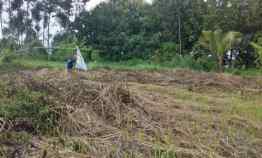 Tanah Kavling Dijual di Dau Malang Luas 411 M dekat Kampus Iii UIN