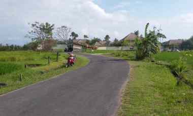 Land For Long Term Lease at Jalan Babadan Or Pantai Lima Pererenan