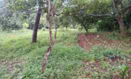 Dijual Tanah dekat Harvest Ds Cikaregaman Serang Setu Bekasi