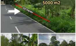 Dijual Lahan Wisata 5000m2 Muka 50m Cepogo Boyolali Harga 1jt/m2