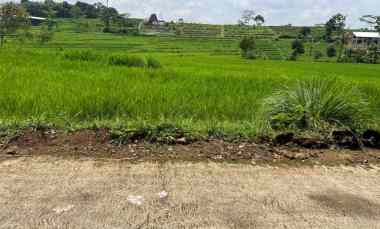 tanah karangpandan 1670m datar subur karanganyar