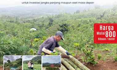 Tanah Dijual di Sukaresmi