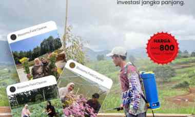 Tanah Dijual di Sukaresmi