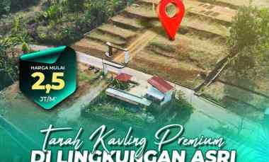 Tanah Kavling Premium di Lingkungan Asri