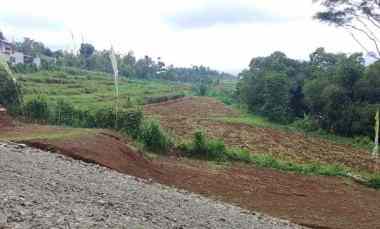 Tanah Dijual di Desa Cibedug Kecamatan Ciawi