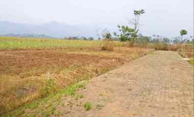 Tanah Kavling Super Murah di Asrikaton Pakis Malang