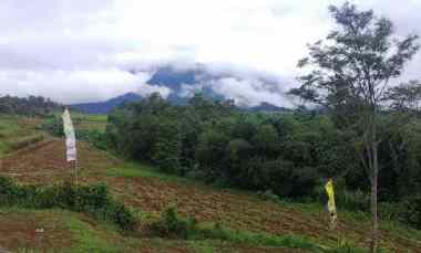 Tanah Dijual di Desa Cibedug Kecamatan Ciawi