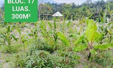 Tanah Kavlingan Lombok Barat, Bisa Kredit dan Kes