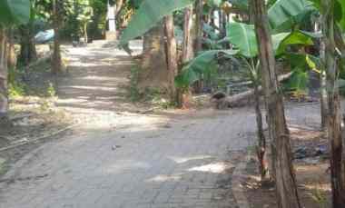 tanah kebon dijual kebon besar teluk naga tangerang