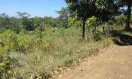 Tanah Kebun Bagus View Gunung Kota Cirebon Kelihatan