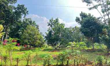 Tanah Dijual di Mojogedang, Karanganyar