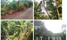 Tanah Kebun Daerah Cijambe Subang Jawa Barat