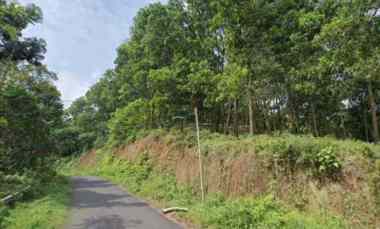 Tanah Kebun, Darat, View Bagus, Cisalak Subang