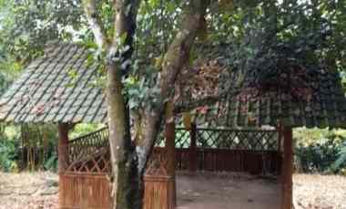 tanah kebun dijual cepat