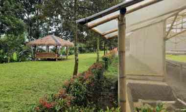 Tanah Kebun Durian Villa dan Cafe Cijeruk Bogor