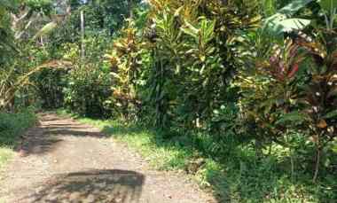 Tanah Kebun Lingkungan Peternakan di Tabanan Bali