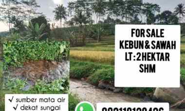 Tanah Kebun, Sawah, Sumber Mata Air, Subang