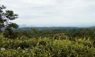 Tanah Kebun Teh Pemandangan Bagus di Bojong Purwakarta